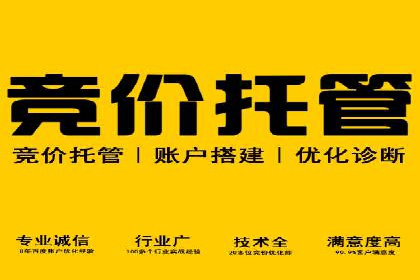 SEM网络推广实战案例：如何实现高效转化与推广